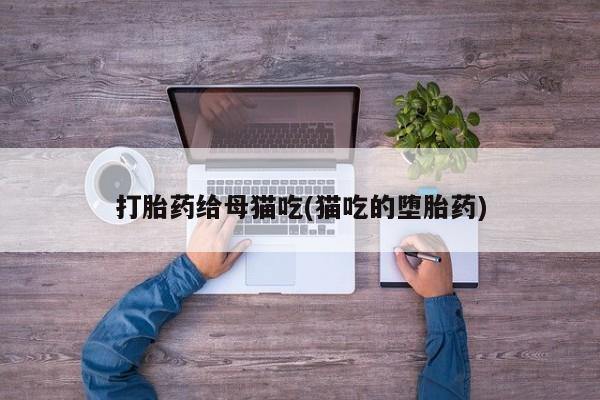 推荐个卖打胎药的联系方式，打胎药给母猫吃(猫吃的堕胎药)